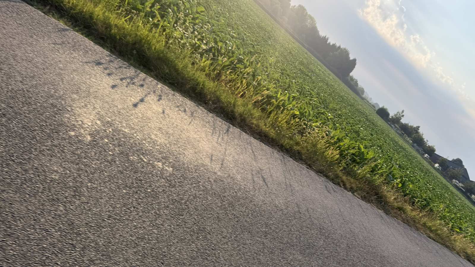 Landweg langs een groen veld in de ochtendzon