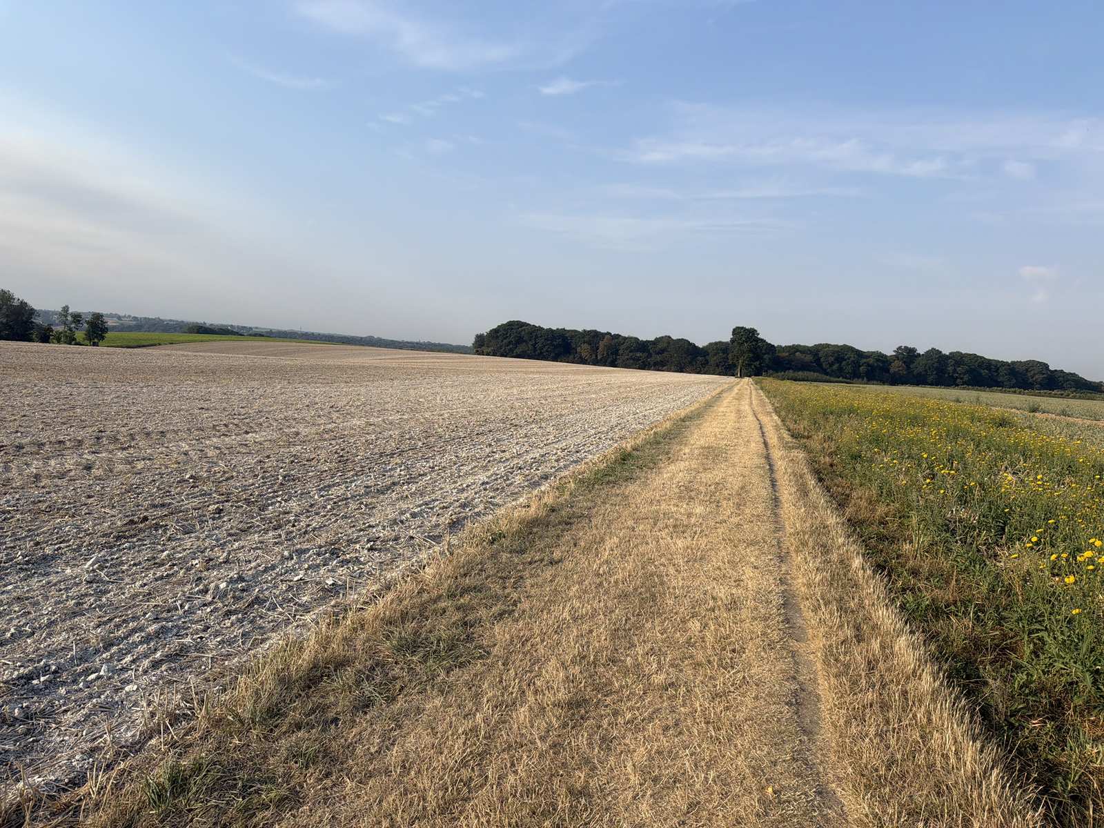 Droog veldpad tussen akkers op het Zuid-Limburgse plateau