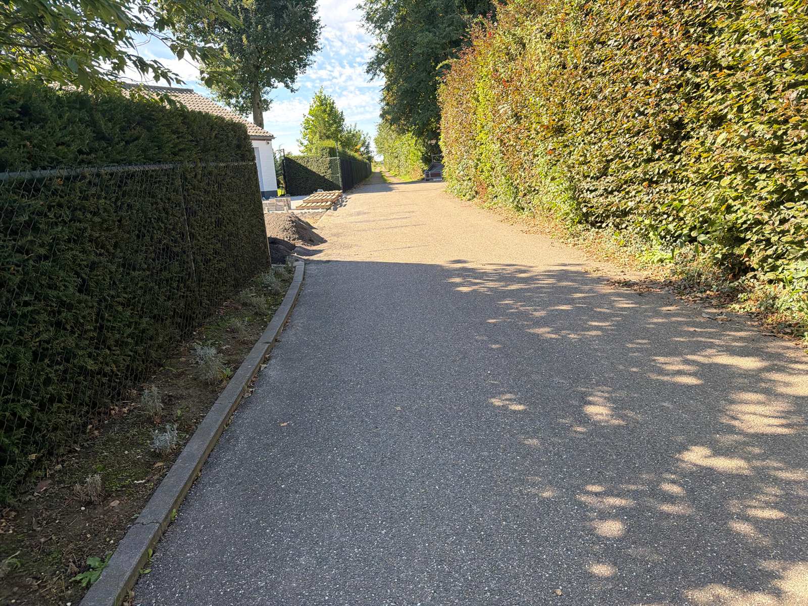 Rustige landweg tussen hoge hagen langs de route