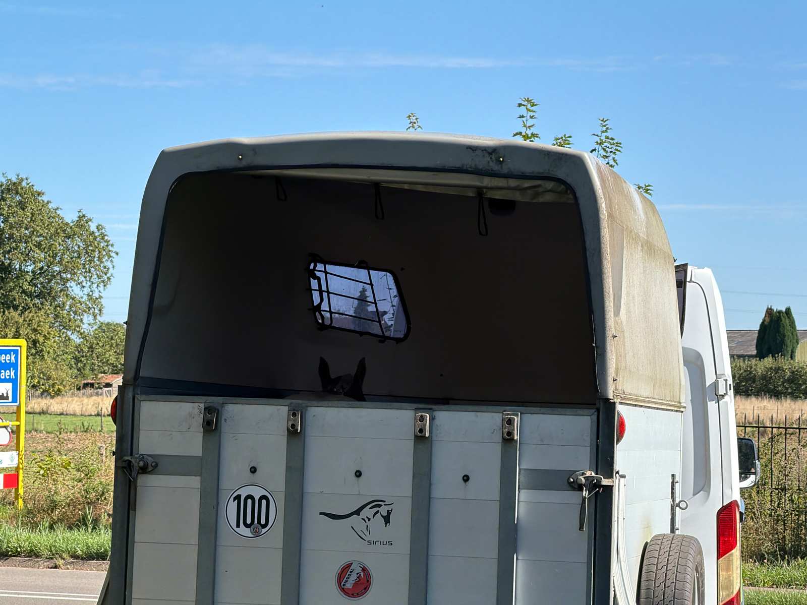 Paard kijkt vanuit een trailer langs de MTB-route