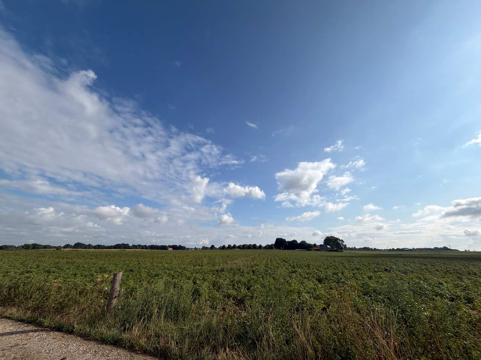 Open veld onder een blauwe lucht op het Plateau van Schimmert