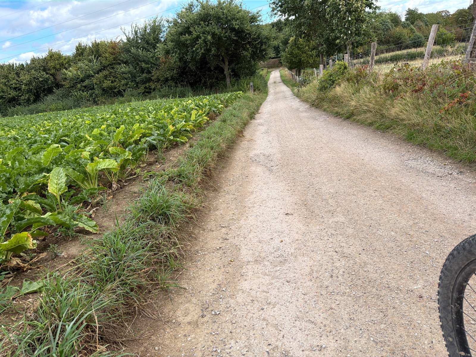Gravelpad tussen de akkers in Zuid-Limburg