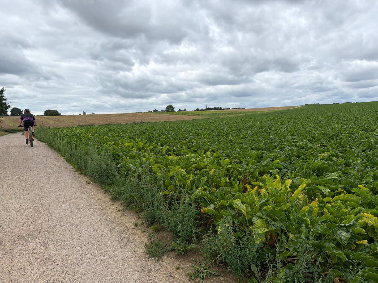 Mountainbiker op een veldweg onder een bewolkte lucht