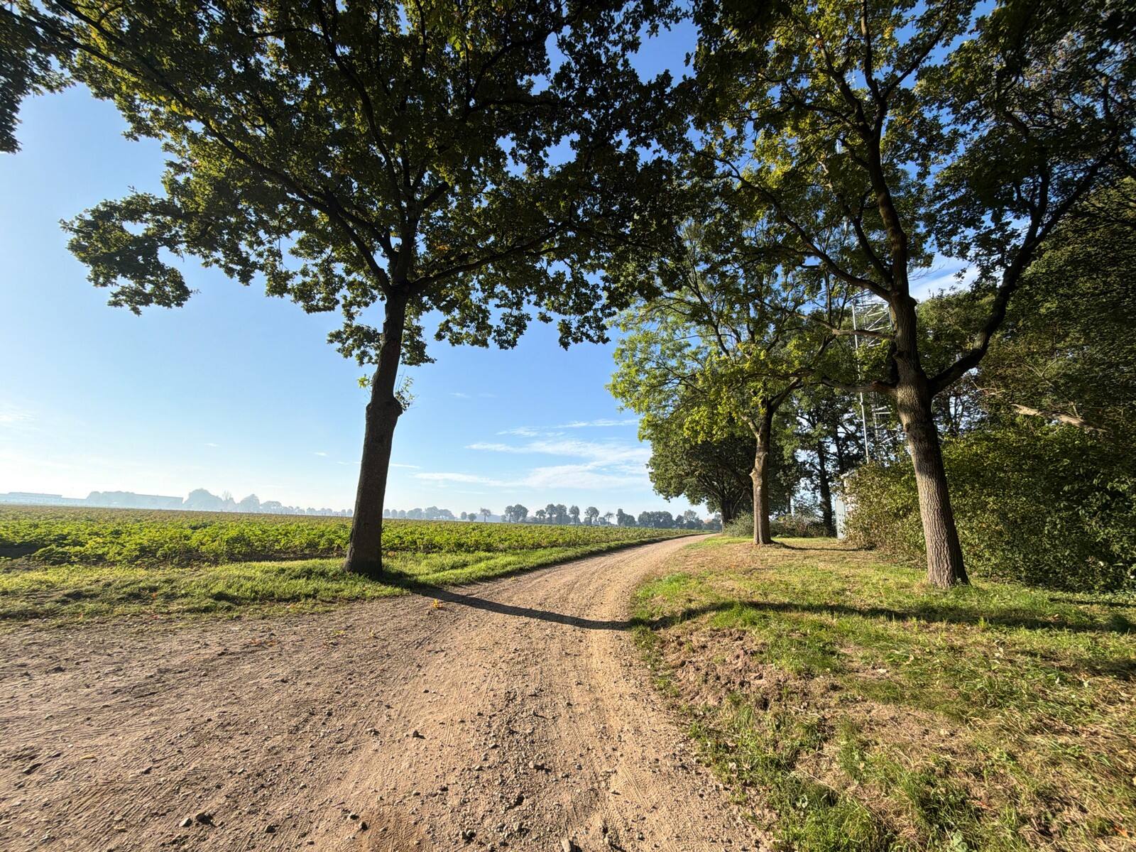 Boomrijk gravelpad langs de akkers