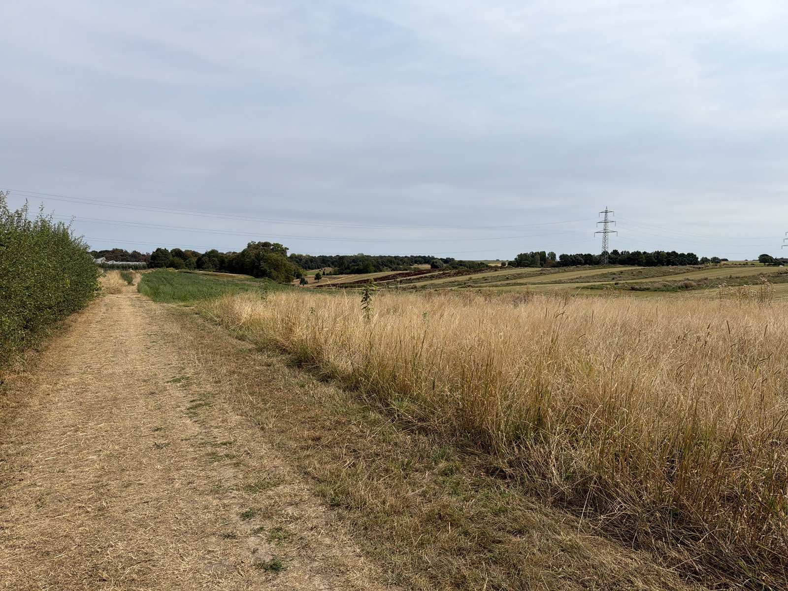 Droog veldpad door het buitengebied van Genhout