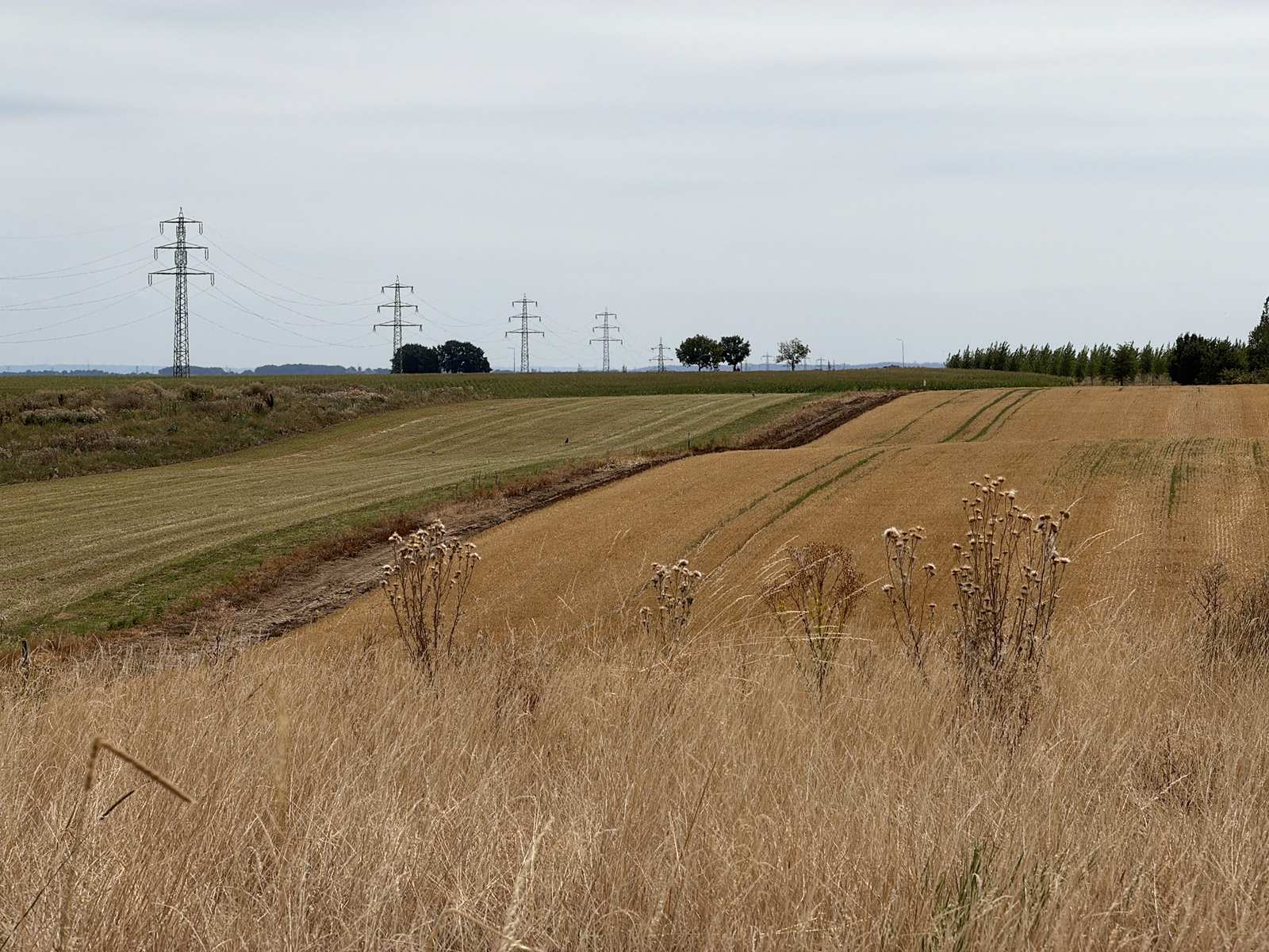 Geoogste akkers in het Zuid-Limburgse landschap